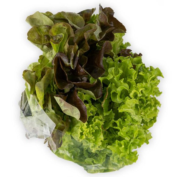 Salatrio Lettuce 300g Nature's Pick